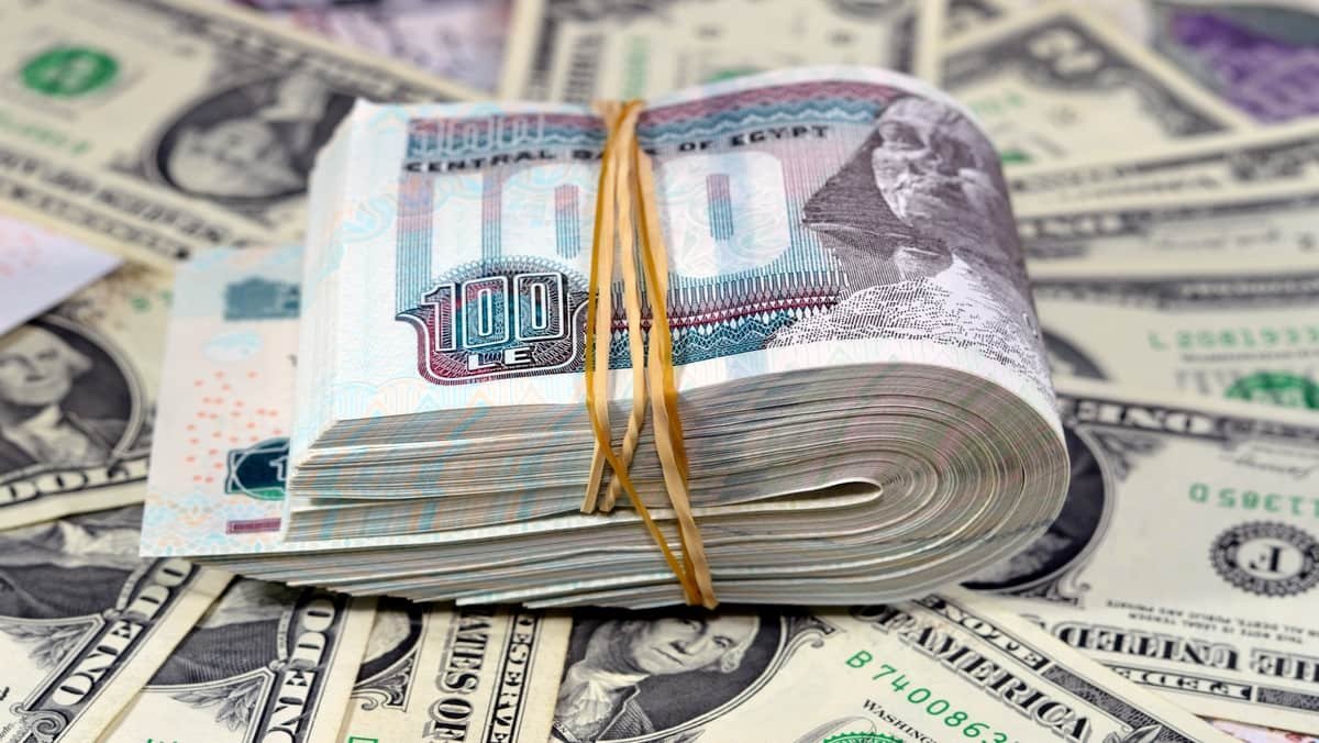 سعر الدولار اليوم مقابل الجنيه المصري الأربعاء 2 سبتمبر 2026.. تراجع جديد في التعاملات المسائية 2 سعر الدولار اليوم مقابل الجنيه المصري الأربعاء 2 سبتمبر 2026.. تراجع جديد في التعاملات المسائية