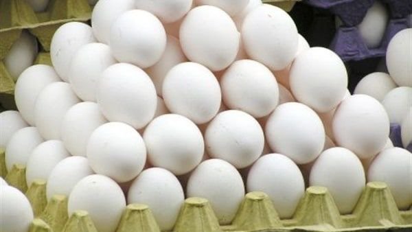 أسعار البيض اليوم السبت.. انخفاض جديد في الكرتونة وتحرك مرتقب مع اقتراب الدراسة