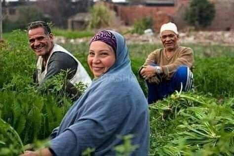 محافظ الإسكندرية يهنئ فلاحى مصر بعيد الفلاح ويؤكد: الزراعة ركيزة أساسية للأمن الغذائي ودعم الاقتصاد الوطني