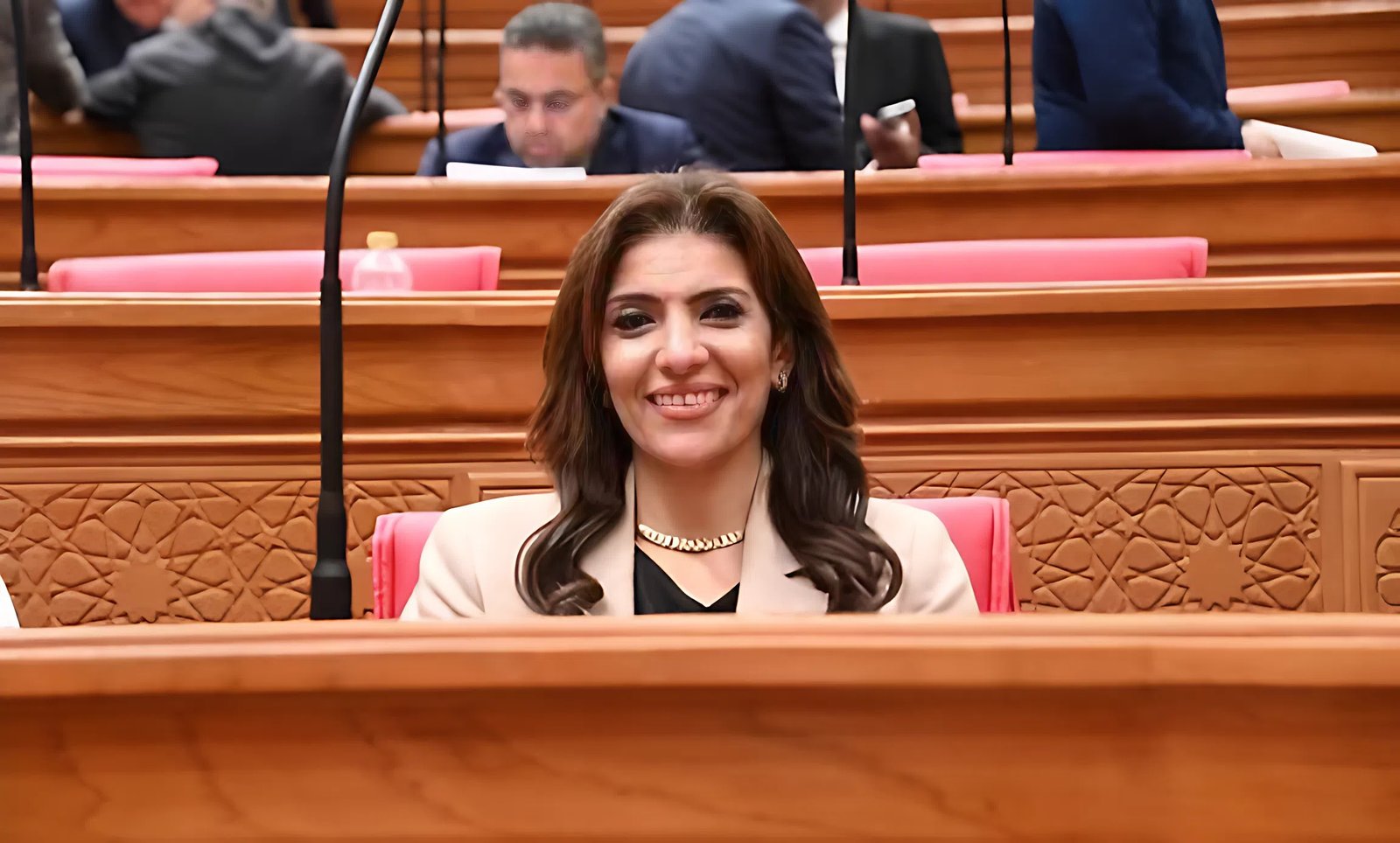 النائبة رانيا الشيمي: قمة العلمين تعكس ثبات الرؤية المصرية في حماية الأمن القومي 3 النائبة رانيا الشيمي: قمة العلمين تعكس ثبات الرؤية المصرية في حماية الأمن القومي