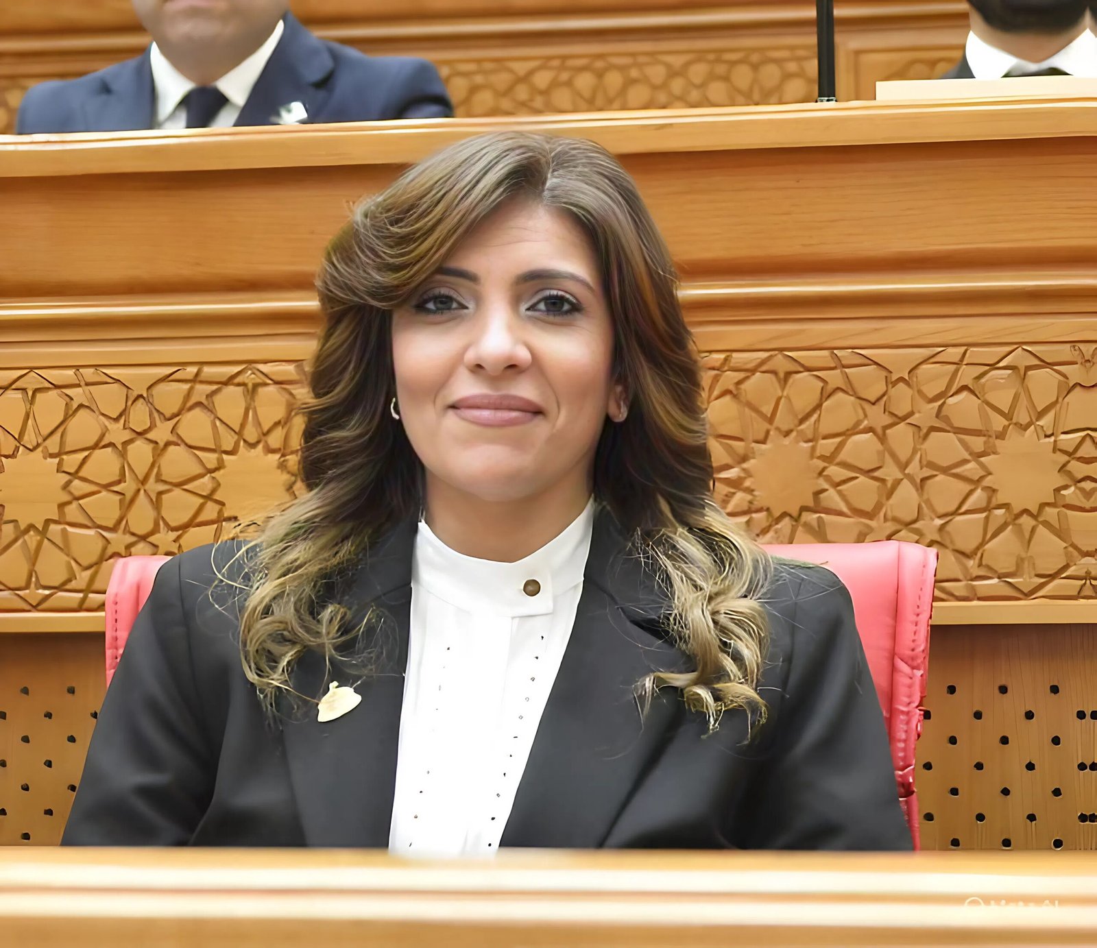 النائبة رانيا الشيمي: قمة العلمين تعكس ثبات الرؤية المصرية في حماية الأمن القومي 5 النائبة رانيا الشيمي: قمة العلمين تعكس ثبات الرؤية المصرية في حماية الأمن القومي