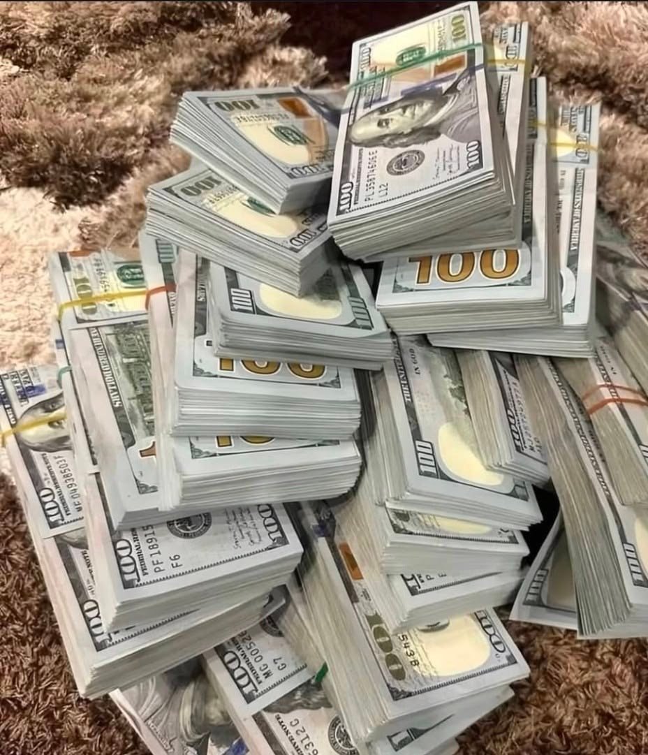 سعر الدولار اليوم السبت 12 سبتمبر 2026.. استقرار ملحوظ في البنوك المصرية