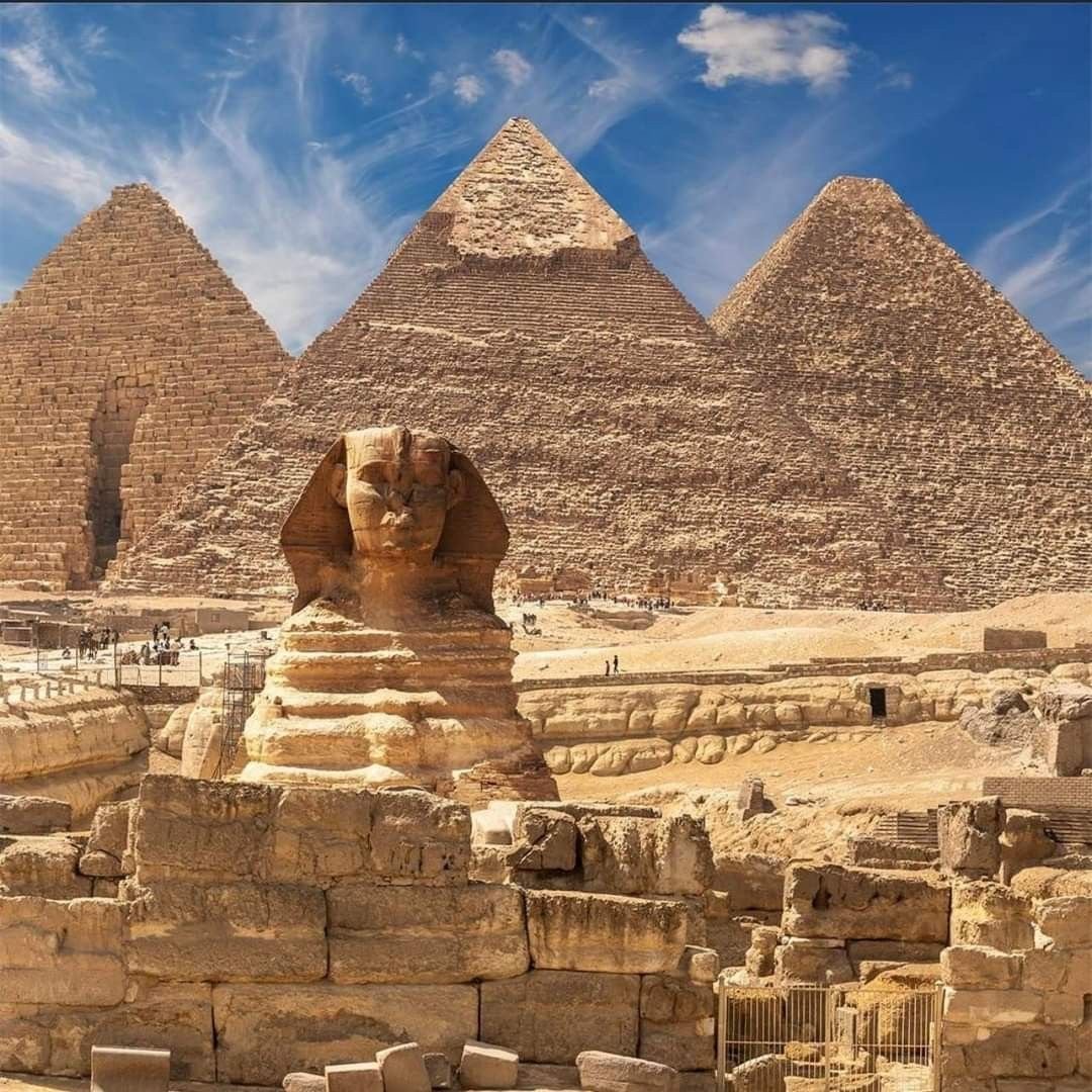 مصر تتقدم مركزين عالميًا في مؤشر الانفتاح الاقتصادي الصادر عن فيتش