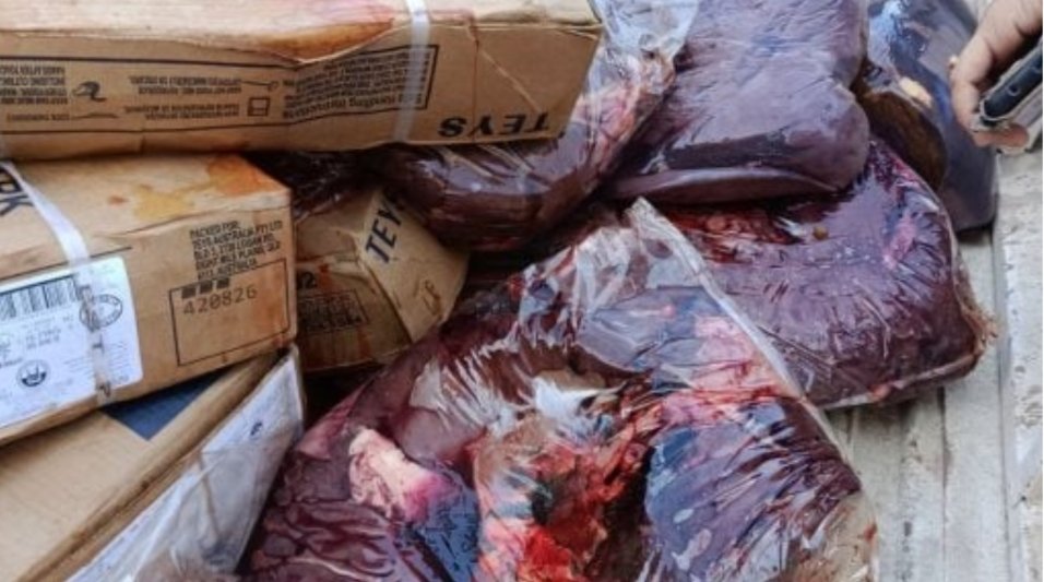 ضبط سلع غير صالحة للاستهلاك الآدمي في كفر الشيخ.. أسماك ولحوم ودواجن مجهولة المصدر
