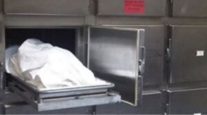 مصرع طفل وإصابة والدته وآخر في حادث تصادم أمام كوبري عياش بالمحلة 2 مصرع طفل وإصابة والدته وآخر في حادث تصادم أمام كوبري عياش بالمحلة
