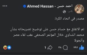 مصدر في اتحاد الكرة: اتفاق مع حسام حسن لتوضيح تصريحاته بشأن محمد الشناوي بعد لقاء أنجولا