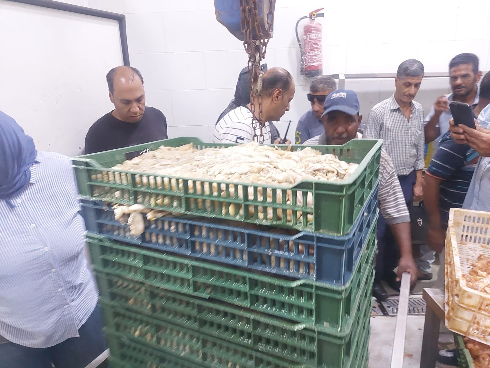 ضبط 1.450 طن لحوم ودواجن وتوابل غير صالحة للاستهلاك داخل منشأة مخالفة بالجمرك