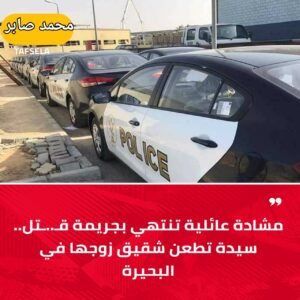 مشادة عائلية تنتهي بجريمة قتل.. سيدة تطعن شقيق زوجها في البحيرة