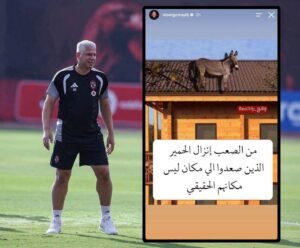وائل جمعة يشعل الجدل بتصريح مثير عبر إنستجرام: «من الصعب إنزال الحمير الذين صعدوا إلى مكان ليس مكانهم الحقيقي»