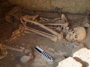 فحوص العظام في مصر القديمة تكشف أدلة محتملة على طقوس جنائزية ووفَيات عنيفة في بدايات الأسرات