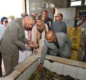محافظ جنوب سيناء يتفقد معصرة زيت الزيتون برأس سدر لدعم المزارعين وتشجيع الإنتاج المحلي