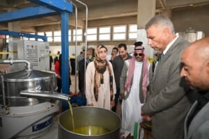 محافظ جنوب سيناء يتفقد معصرة زيت الزيتون برأس سدر لدعم المزارعين وتشجيع الإنتاج المحلي