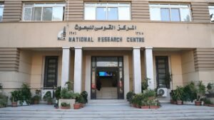 تصنيف جامعة ستانفورد لأفضل 2% من علماء العالم.. المركز القومي للبحوث يتصدر المؤسسات البحثية المصرية بـ133 عالمًا وباحثًا