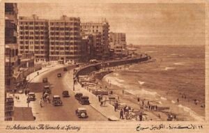 الإسكندرية التي لا نراها في الصور الحديثة.. كيف تغيرت شوارع عروس البحر المتوسط عبر الزمن؟