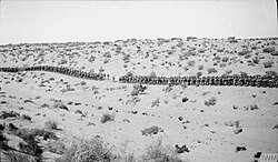 في مثل هذا اليوم عام 1917.. سقوط بئر السبع في يد قوات الحلفاء.. معركة فارقة فتحت الطريق أمام احتلال القدس