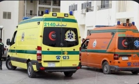 وجبة بطاطس سوري تتسبب في تسمم 19 شخصًا.. غلق مطعم بسيدي بشر في الإسكندرية