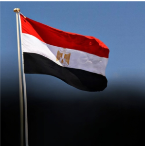 الجريدة الرسمية تنشر قرار إبعاد السوري عمار ياسر البردان إلى خارج البلاد