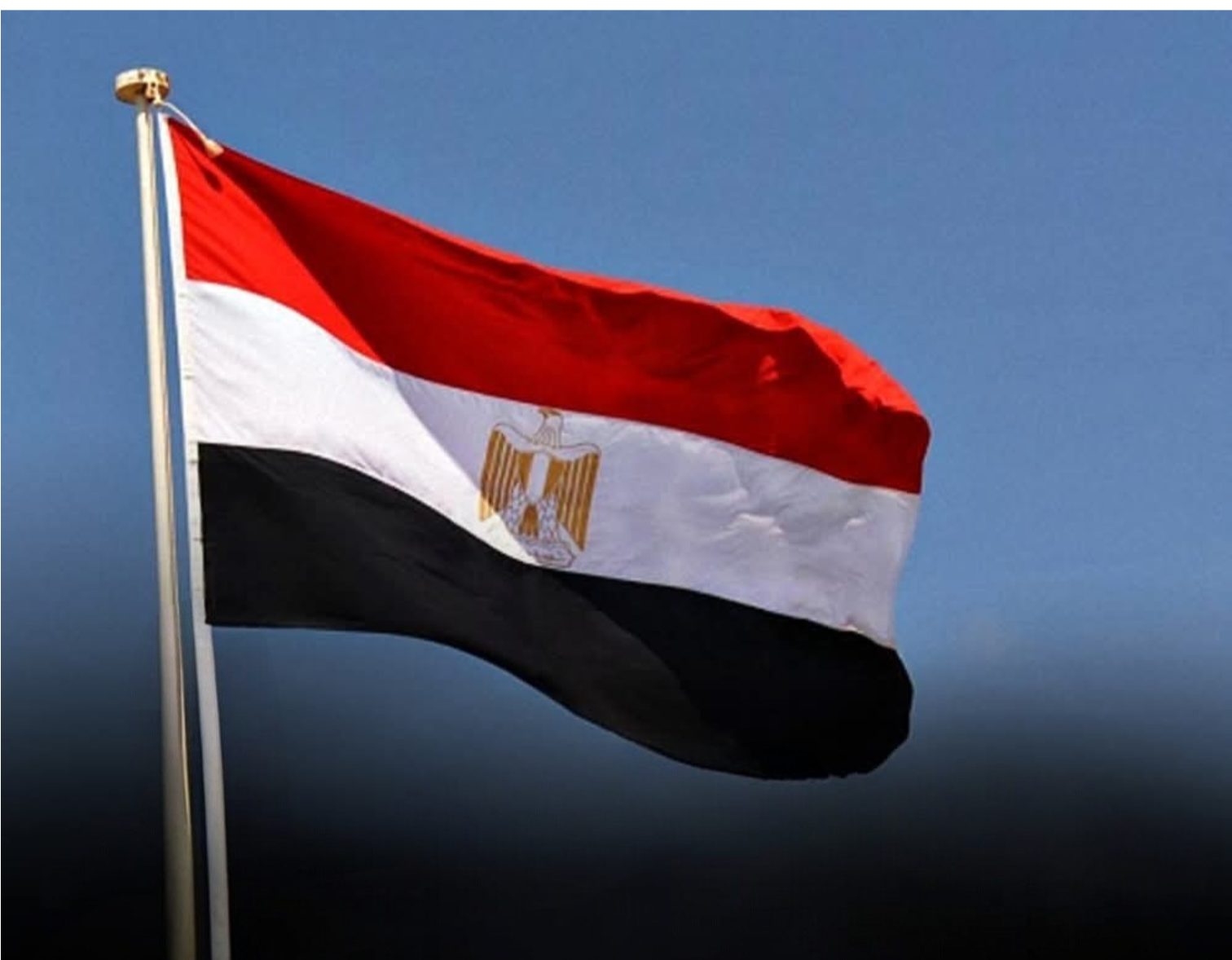 الجريدة الرسمية تنشر قرار إبعاد السوري عمار ياسر البردان إلى خارج البلاد