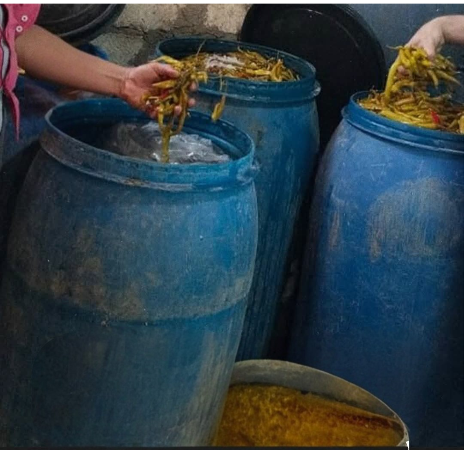 ضبط 4 أطنان مخللات مجهولة المصدر وغير صالحة للاستهلاك داخل حظيرة مواشي في بني سويف