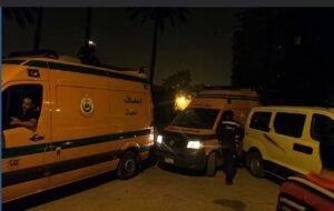 إصابة 12 من العمالة الزراعية في حادث انقلاب سيارة ربع نقل بالنوبارية.. تفاصيل الواقعة