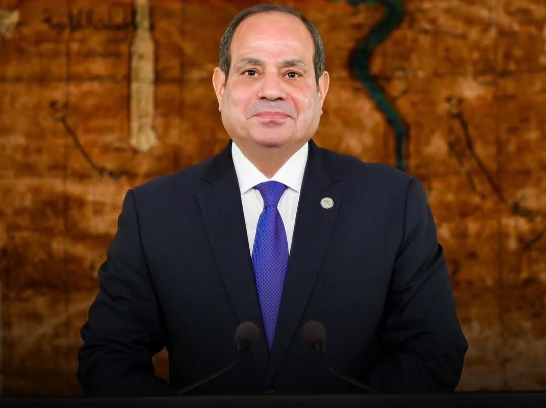 الرئيس السيسي يعود إلى أرض الوطن بعد زيارة رسمية إلى روسيا والمجر