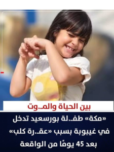 وفاة الطفلة مكة ببورسعيد بعد عقر كلب ضال.. عبد الرحيم حسن يطالب بحل جذري للكلاب الضالة